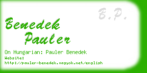 benedek pauler business card